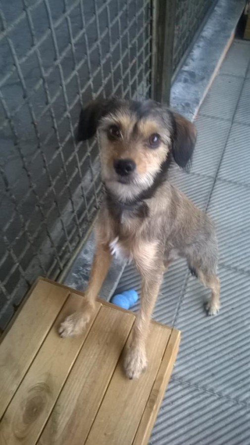 La foto di BINKY DEPALMA