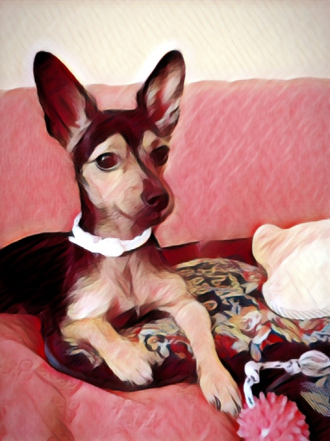 La foto di Molly Amico