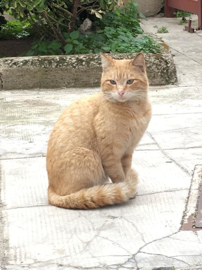 La foto di Miluzzo