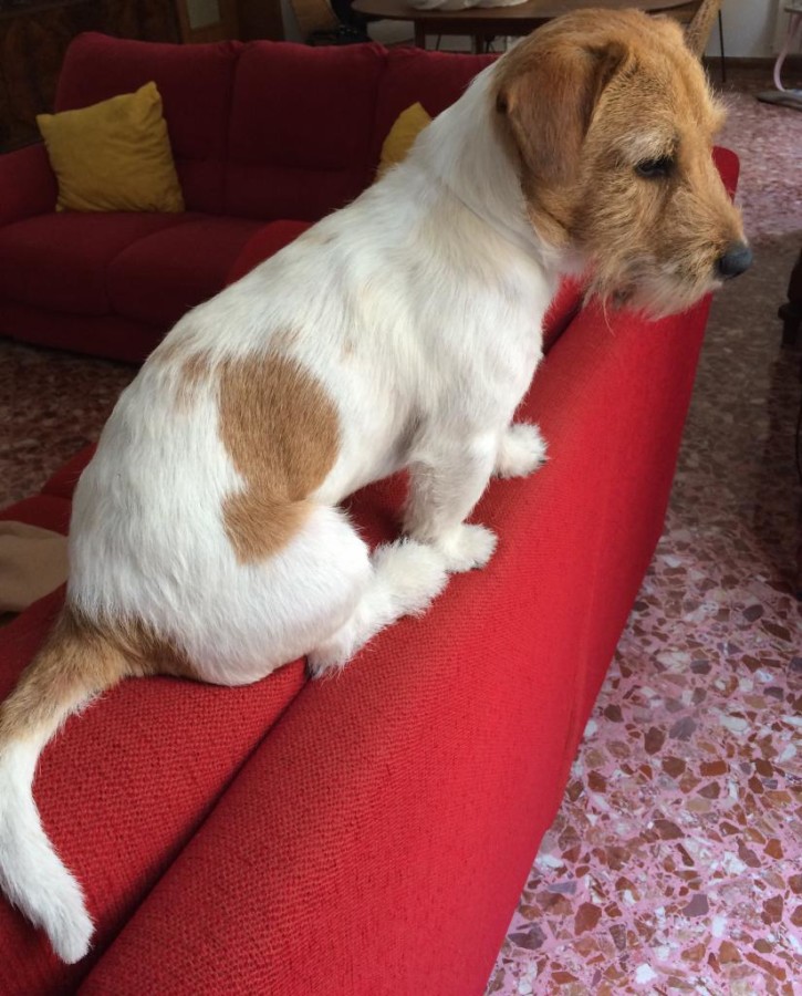 La foto di Perry