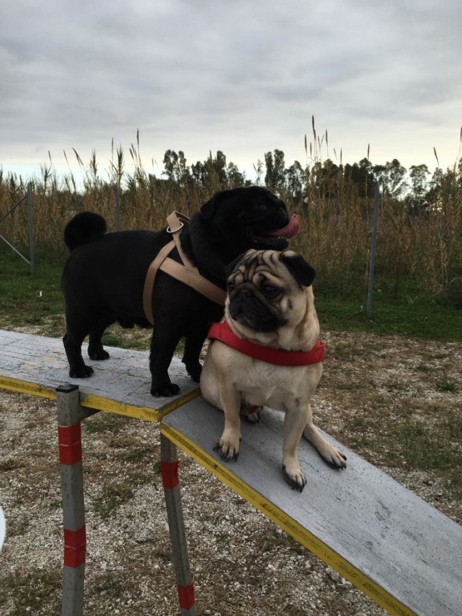 La foto di Ninastefanino monei