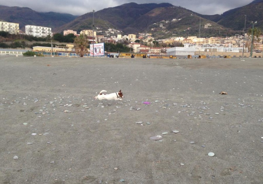 La foto di ottomassarotto