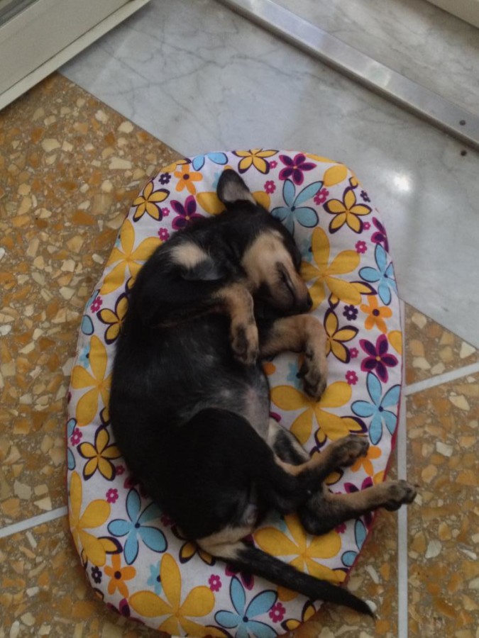 La foto di Ellie Filoni