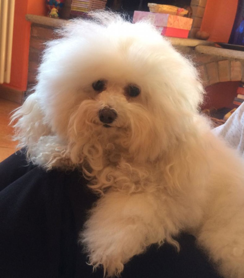 La foto di Millynuvola