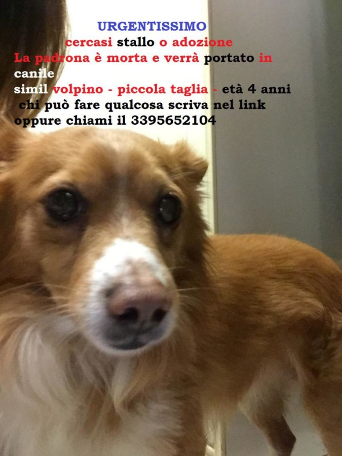 La foto di blubli