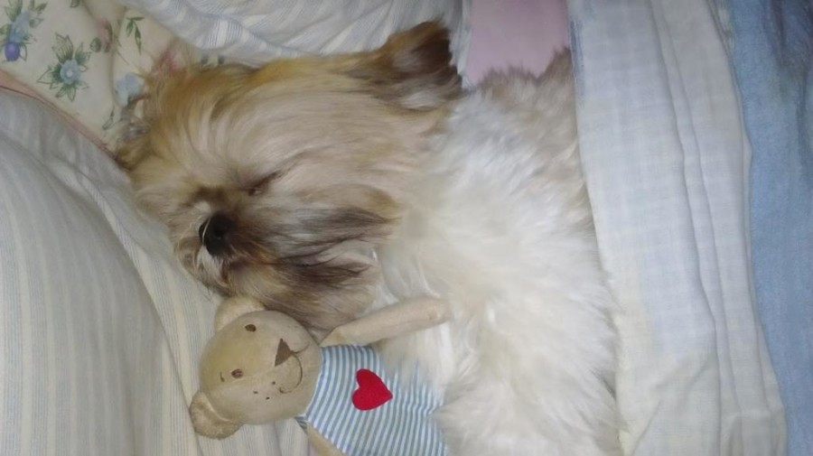 La foto di Pisino eFederica