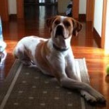 MiloPointer