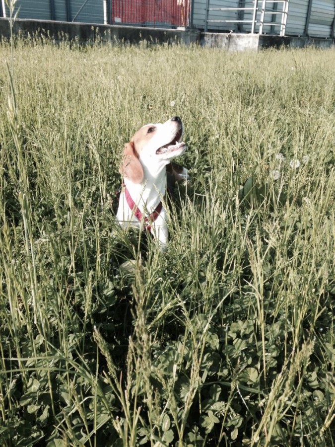 La foto di Becky Vale