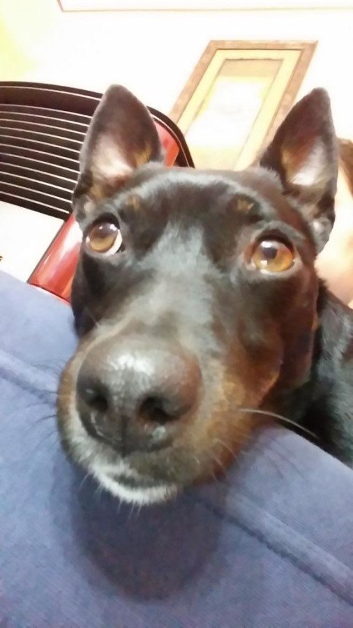 La foto di MammaCookie