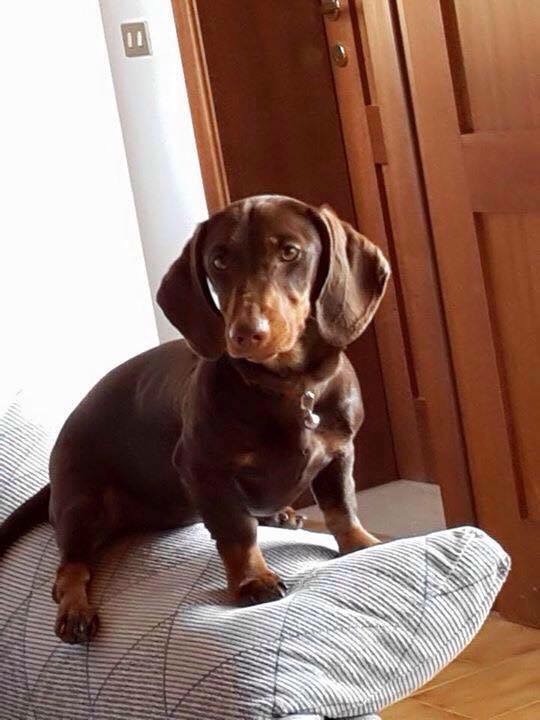 La foto di Nuty13