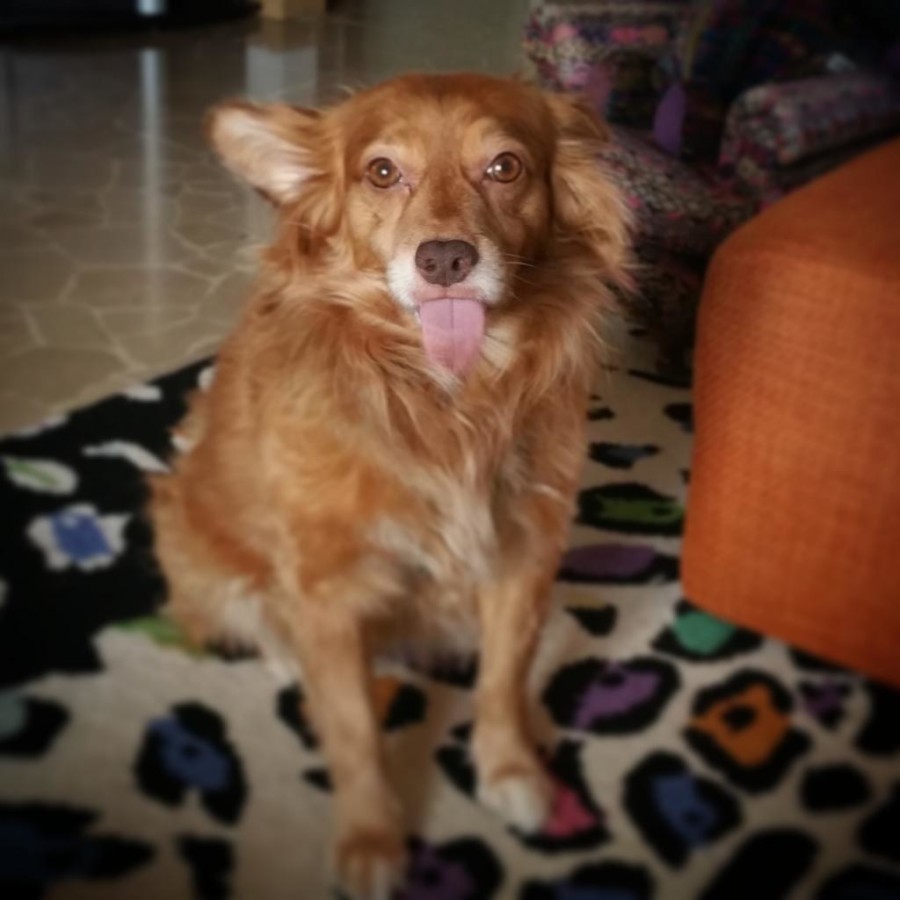La foto di Mia Ielmini