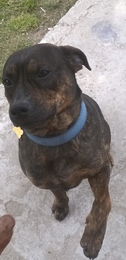 La foto di marty
