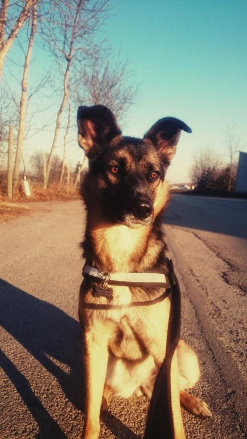 La foto di Faith