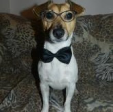 charlino