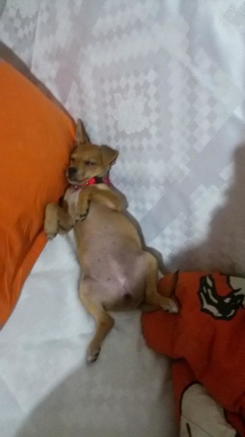 La foto di Stella Stellina