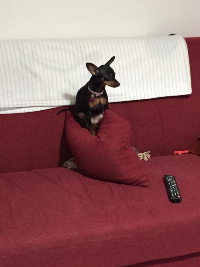 La foto di SaBryna29