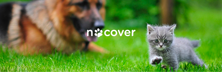 Dachshund Lovers's cover