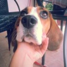 Avatar de Rebirebecca