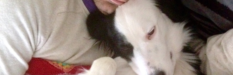 Francesca Pezzilli's cover