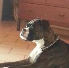 Avatar de Cetty Scalia