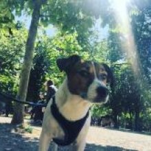 jimmyperoni's avatar