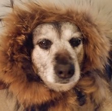 Immagine del profilo di Monimoni