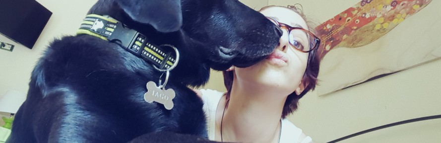 Gloria  Laudato 's cover