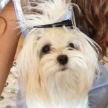 kikko caroli's Avatar