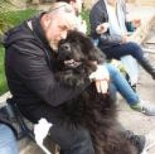 Giasone perrone's avatar