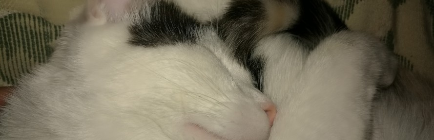 Cover di Elzbieta Lukasik