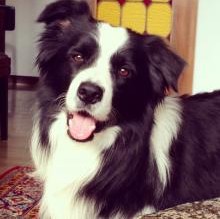 Claudietta's avatar