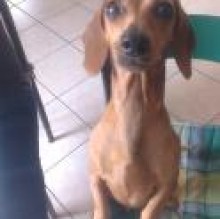 Avatar de penelope Sandrini