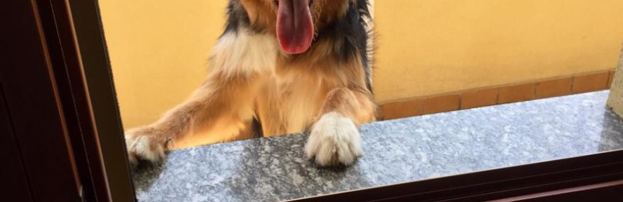 Cover di Katiagas