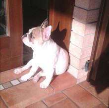 Barbara Bussoli's avatar