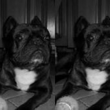 Avatar de Noir Bagaglio