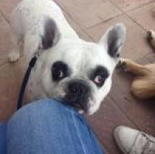 Avatar de Ciro Cocca