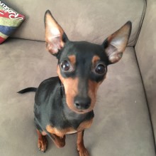 Stefania  Baldi's avatar