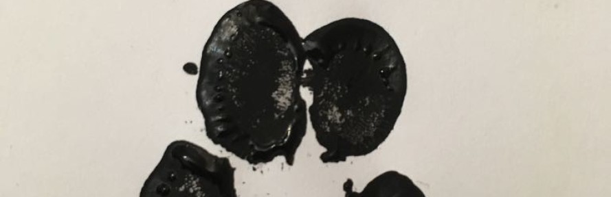 Stefania  Baldi's cover