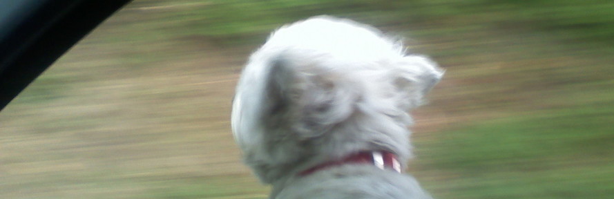 Cover di Marina Biglieri