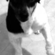 Avatar de Art Iossa