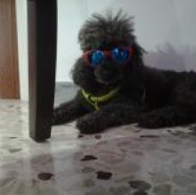 Avatar de benjamin furleo
