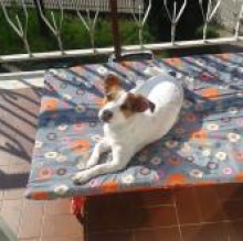 Avatar de trilly castaldo