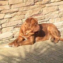 Immagine del profilo di Melo