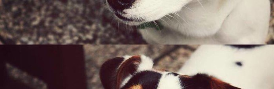 JackGiu's cover