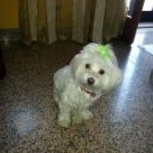 Suami Graziano's avatar