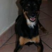 Avatar de Minny Mini