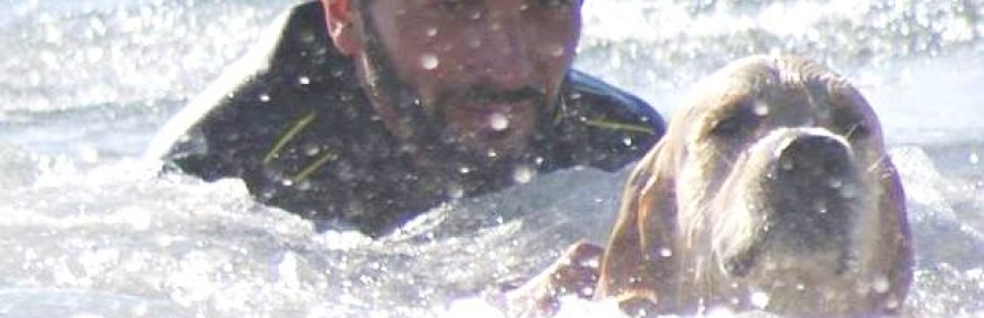 Cover di Brando2013