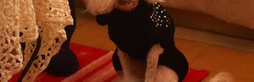Isotta Ciravolo's cover