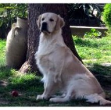 Fiorenza's avatar
