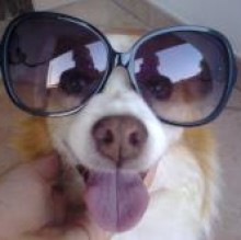 Lucky Paneck's avatar